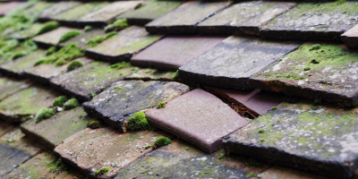 Askham roof repair costs